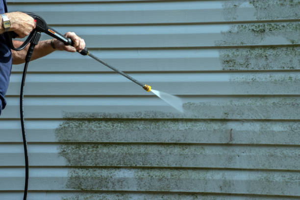 Best Pressure Washing Cost  in Daingerfield, TX